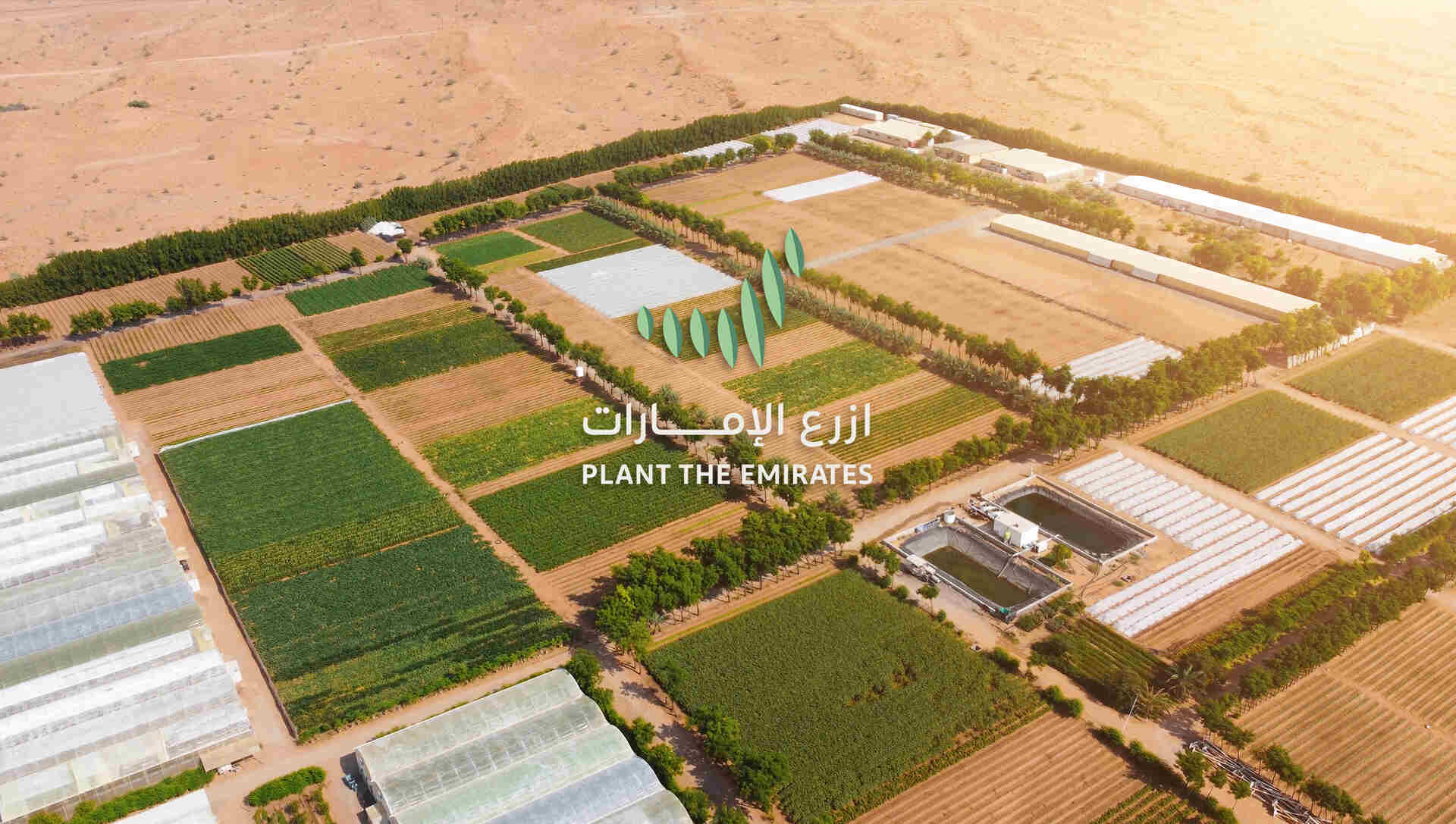 plant the emirate-1